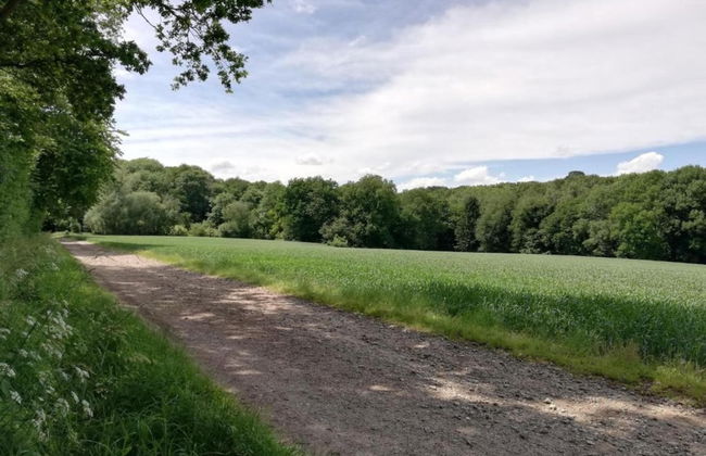 Apartment in Ubachsberg Near Scenic Trails - Photo 32