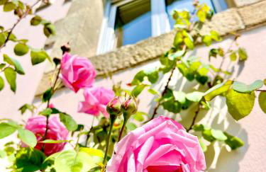 Glaz Ocean - Foto 30