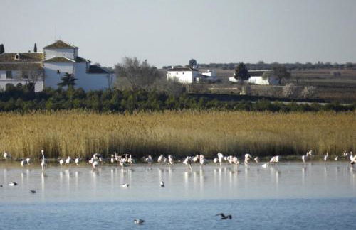 La Casa de los Abuelos - Foto 31