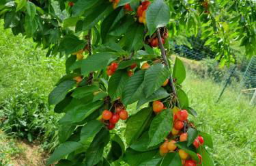 Casa Imola - Foto 31