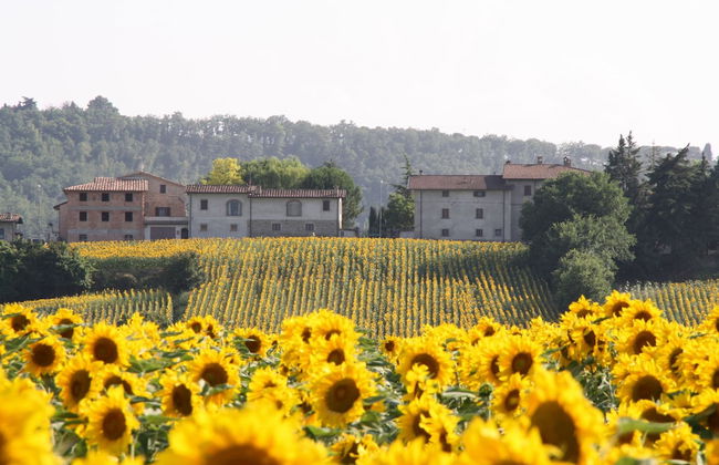 Agriturismo Podere Casenove - Photo 54