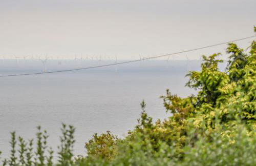 Pine Lodge - Foto 59