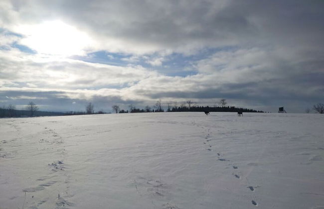 Old Forge Modern Retreat - Foto 26