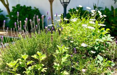 VillaFerrel - Beach&Waves - Foto 19