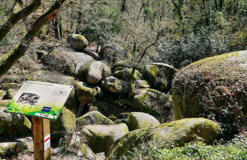 Holiday Home in Huelgoat near Monts d'Arrée - Foto 30