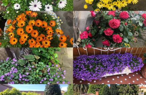 La casa de Cudón - Foto 38