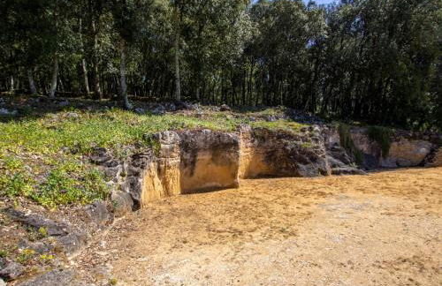 Charmant studio proche de Sarlat pour des vacances tranquilles - FR-1-616-25 - Foto 22