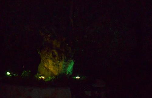 Heliactida House - Photo 8