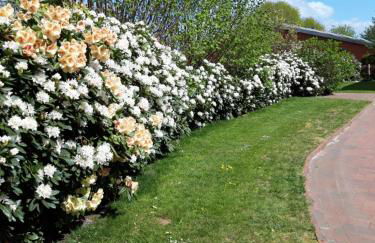 Ferienhof Kleemann - Foto 6