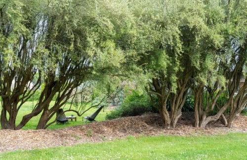 Gîte Les Roseaux - Foto 21