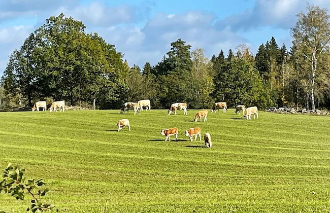 4 Star Holiday Home in NYE - Foto 32