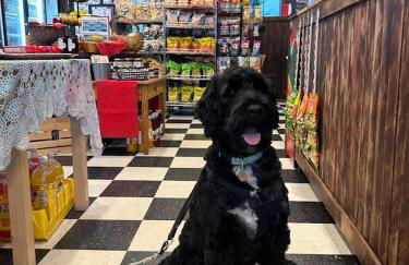 Sojourn Classic DC Rowhouse with Parking - Foto 30