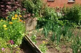 Kleiner Bauernhof in Ostseenähe - ganze Ferienwohnung mit 2 Zimmern - Foto 22