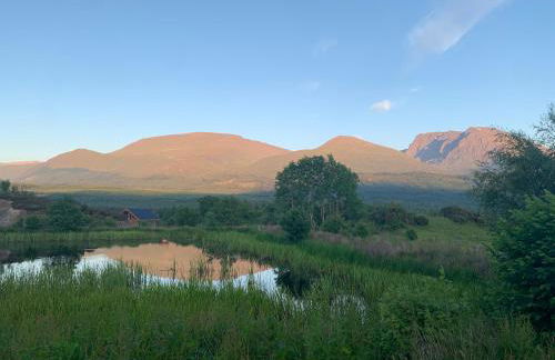 Wild Nurture Eco Luxury Offgrid Log Cabin - Foto 55