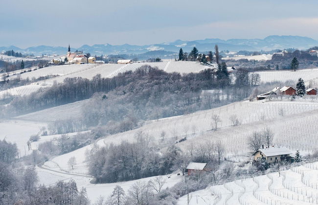 Ladybug House With Whirlpool - Foto 28