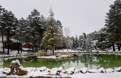 Chalet lujo en finca Zafiro lagunazo Riopar 5 o 3 dormitorios y 3 Baños Parque Natural del Rio Mundo - Foto 38