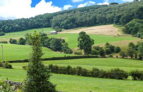 The Cow Shed - Photo 11