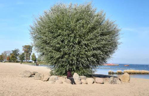 Ferienwohnung Am Ueckerpark - Foto 18