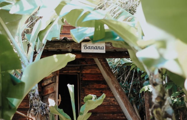 Banana Eco Camp - Foto 37