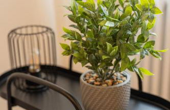 Alloggio Viola - Gionic Apartments Bologna - Photo 24