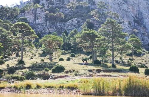 L'Antic Forn de Paüls - Foto 65