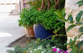 Quartier No.63 - Foto 9