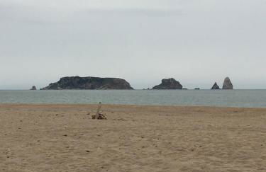 Apartamento Costa Brava - Foto 29