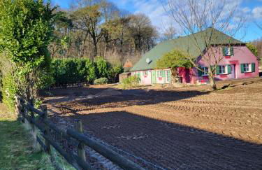 Ferienwohnung Waldrand am Niederrhein Holtwick - Foto 28