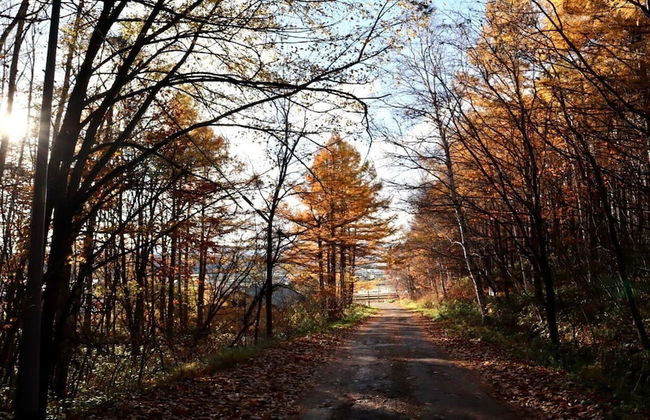 MAPLE FARM - Foto 33