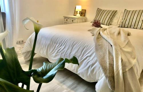 Sokaire de Urdaibai junto a Mundaka - Foto 5