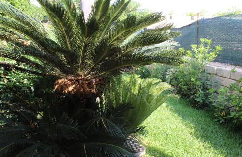 Villa Aurora - Foto 18