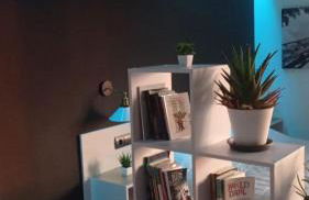 LoftCalJoan - Foto 8