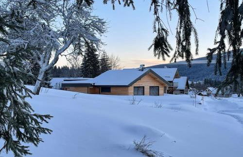 Unique ! Chalet Grand Standing, la Nature pour vis à vis - Foto 1