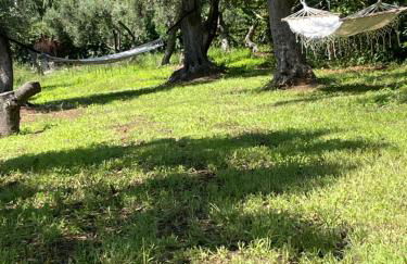 TENUTA TAURIANUM PanoramicHouse e PanoramicB&B - Photo 18