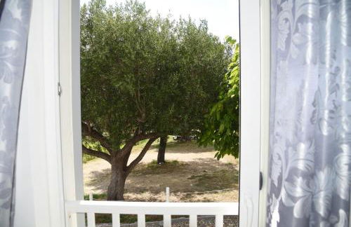 Palinuro Casa Vacanza Melita - Foto 20