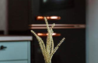 El Cielo de las Hurdes - Foto 36