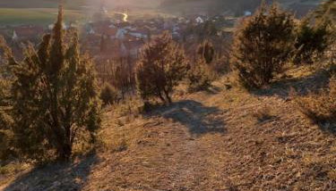 Ferienwohnung Zum Märchenwald - Foto 3