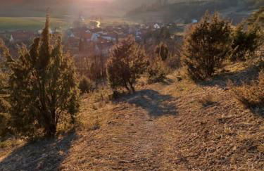 Ferienwohnung Zum Märchenwald - Foto 3
