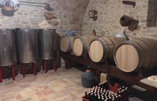 Azienda Agricola Perconti - Foto 95