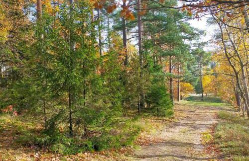 Kaszubski Zakątek - Foto 68