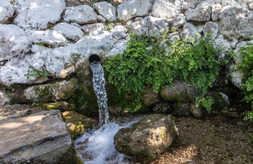 Cortijo el Chaparro - Foto 29