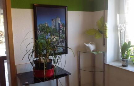 Fewo-Seither - Foto 11