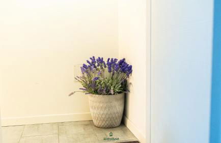 Casa Vilma 3 - Peschiera del Garda - Foto 36