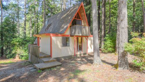 Star Nest - Secluded Forest Property - Foto 3