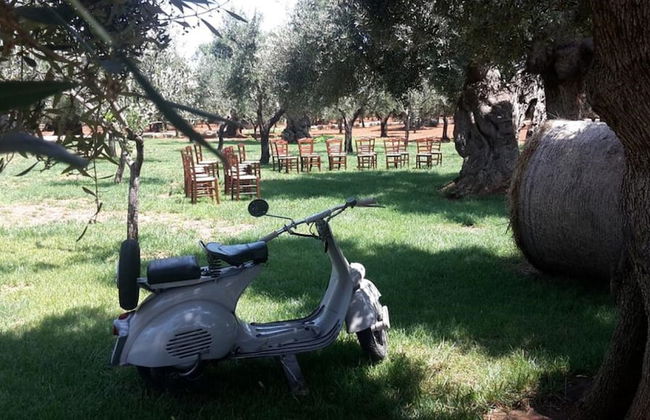 Masseria San Martino - Foto 43