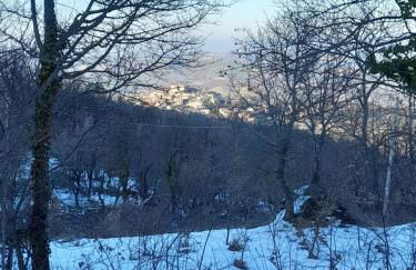 Villa Maria Pia - Foto 52