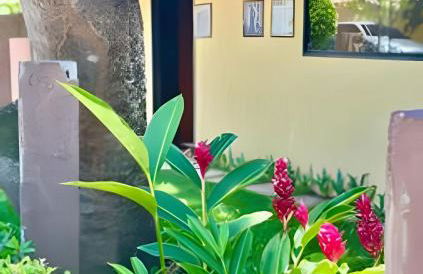 Rosas Loft - 150m praia de Itacoatiara - Foto 8