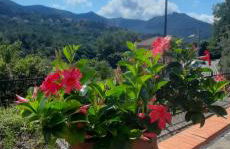 Casa Elisa - Foto 25