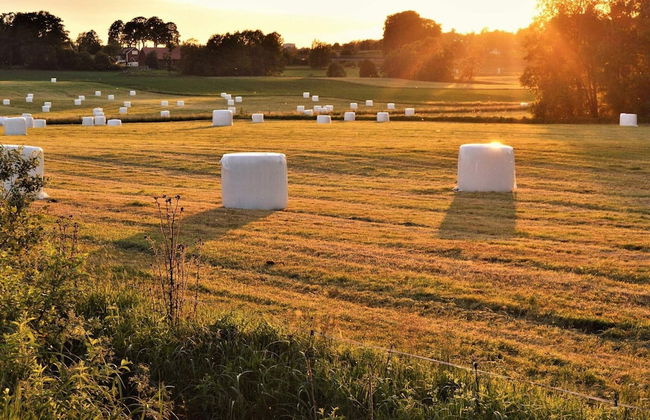 Holiday Home in Smaland Countryside - Foto 48