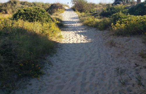 Backyard Oasis- Steps 2 Beach, Private Pool & Bar, Sleeps 16, 7 Bedrooms 5 and a half bathrooms "The Lucky Penny" - Foto 11